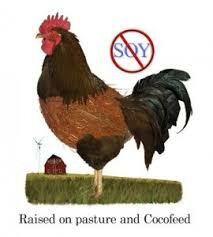Purchase soy free eggs and pastured meat here through GrassFed Traditions
