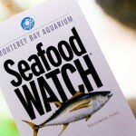Click here to learn more about sustainable seafood